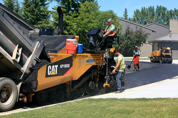 Best Driveway Repair Near Me  in Bloomfield, IA